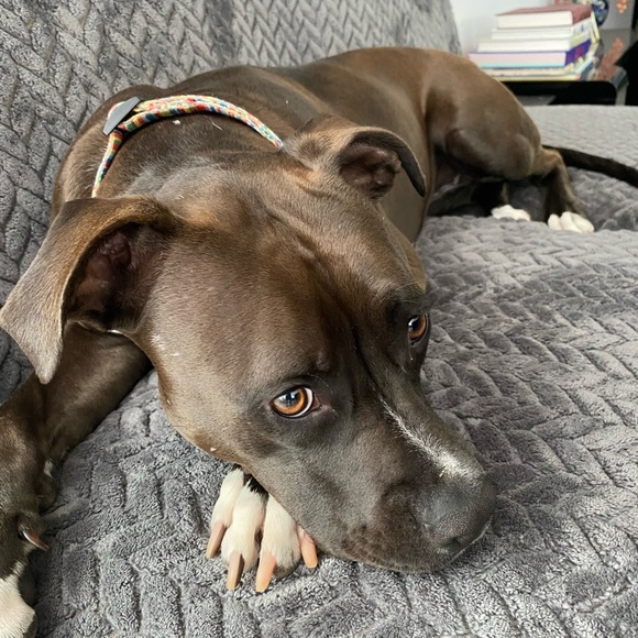 Meet your Posher, Erica SnowFlower - Picture 6 of 16